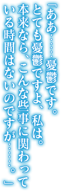 「ああ……憂鬱です。とても憂鬱ですよ、私は。本来なら、こんな些事に関わっている時間はないのですが……。」