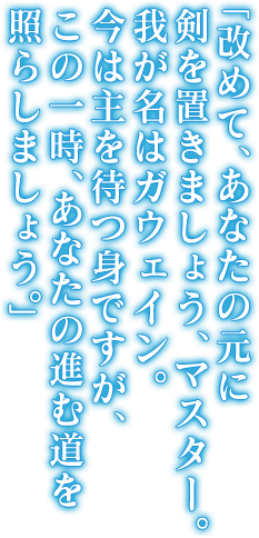 ガウェイン Ps4 Ps Vita Fate Extella Link 公式サイト ガウェイン Ps4 Ps Vita Fate Extella Link 公式サイト